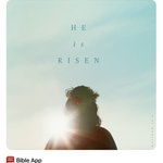 Photo by The Christian Film Review (@TCFReview)