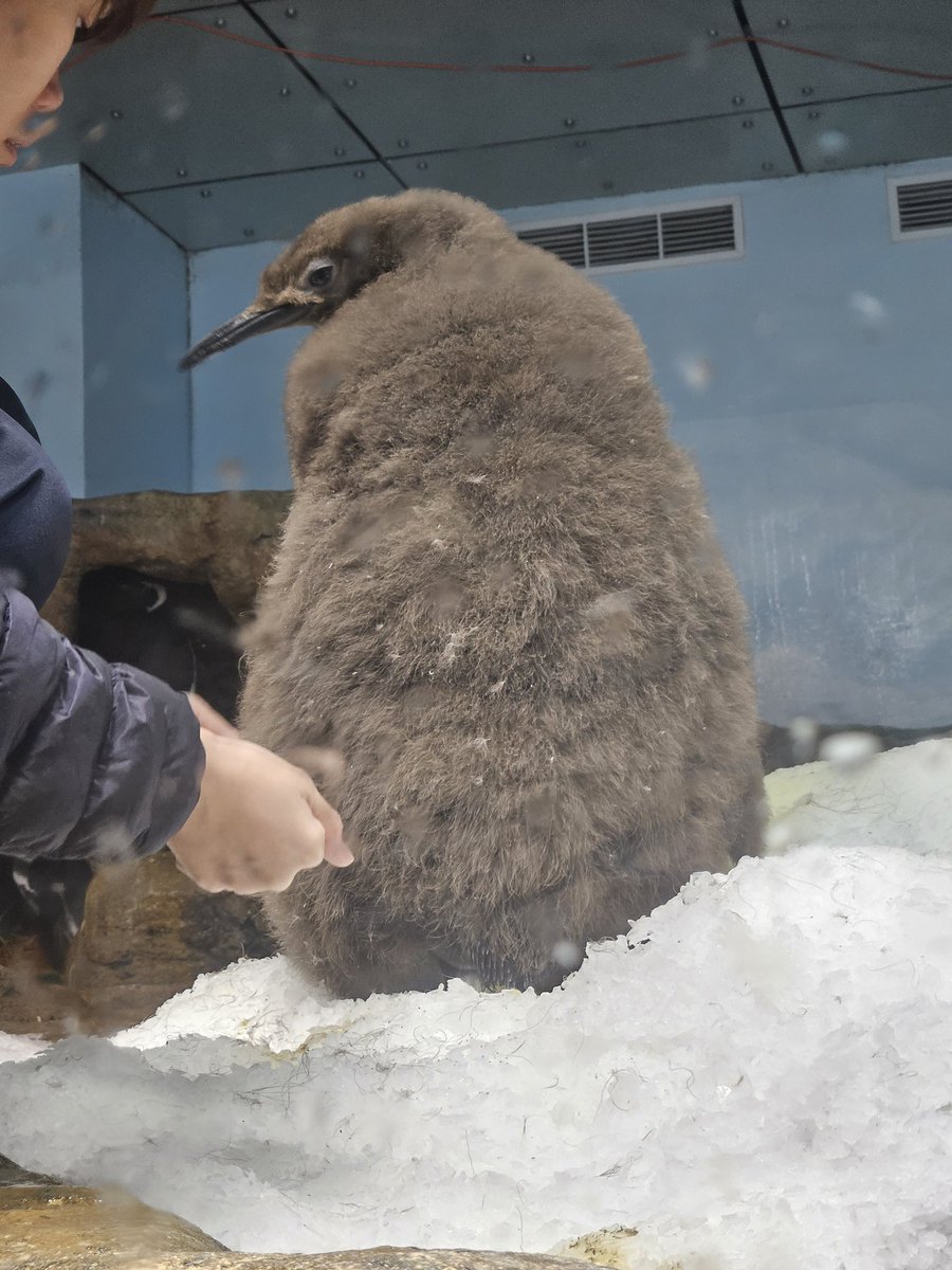 偷摸另....一輩子....