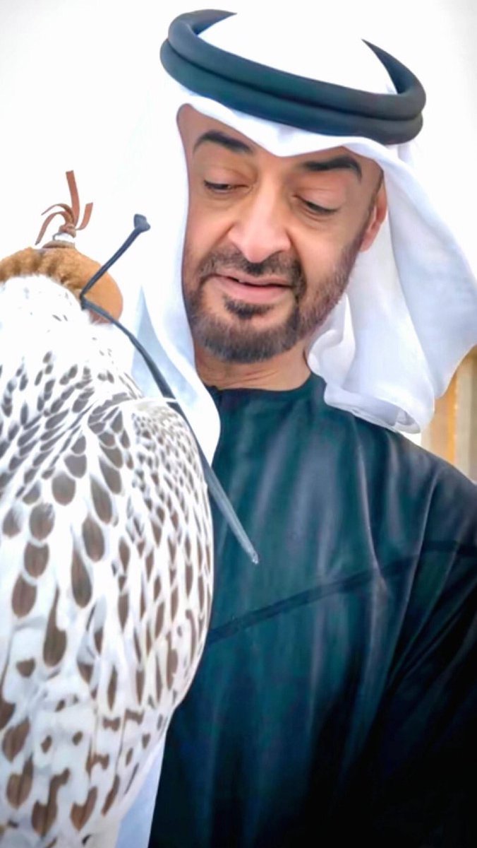 UAE__83's tweet photo. •.                         حر نادر ومن صفوة أحرار https://t.co/pjWCqiYd91