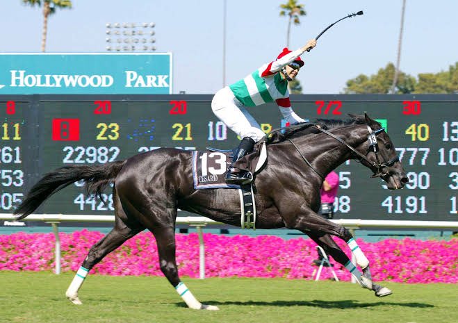 あと2年、今からでも遅くないからシーザリオの顕彰馬選定を選定委員の記者陣は本気で考えてほしい

GⅠ2勝で産駒のGⅠ馬3頭、しかも種牡馬としても活躍、これだけ血統的影響力を発揮してる内国産牝馬いないよ、しかも日本古来の牝系を内包して繋げた

顕彰馬にさせない方がおかしいと思う

#拡散希望