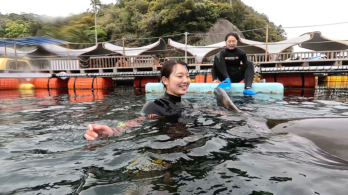 Dolphin_Beach_'s tweet photo. イルカとサカナまみれ！　Surrounded by dolphins and fish!
#ドル���ィンスイム #イルカと泳ぐ #海が好き #イルカ #ダイビング #dolphin #dolphinswimming #pool #下田海中水族館 #下田 #伊豆 #水族館 #体験ダイビング #ドルフィンダイビング #いるか #カマイルカ #イルカと泳ぎたい https://t.co/sEiLNOGei8