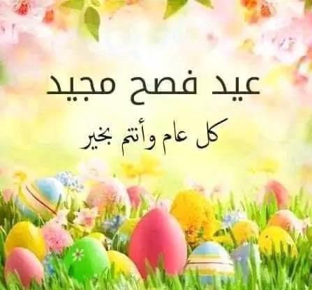 Haissam Zeidan (@drzeidan_h) on Twitter photo 