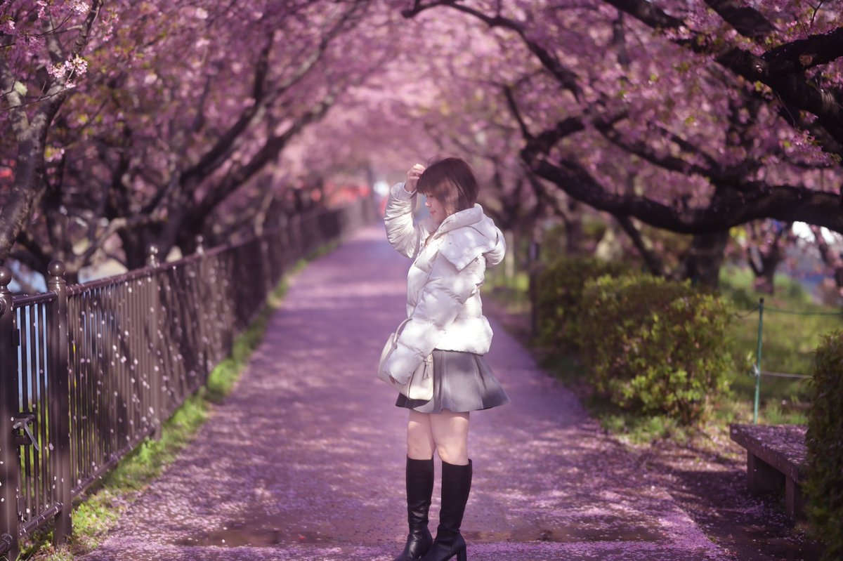 prismb_vet's tweet photo. 今年は桜撮れなかったナ。 https://t.co/m3N7AdHEV8