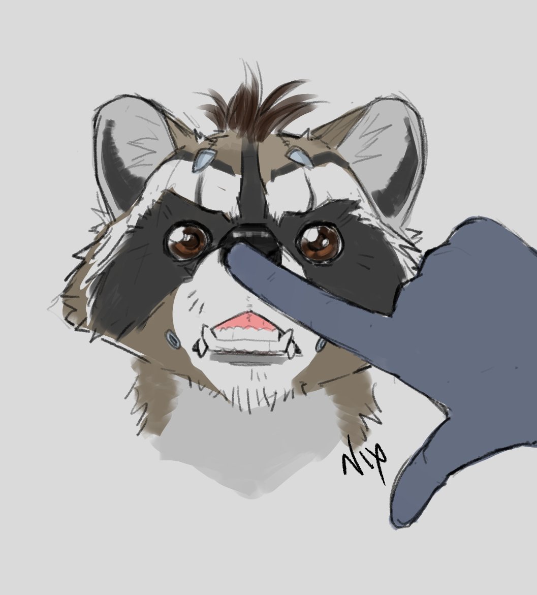 Mystic_Nix_Art's tweet photo. Idea I had in which Quill goes to bug Rocket by pushing up Rocket's nose to show his teeth because it looks funny. https://t.co/4RvQkoe8TM