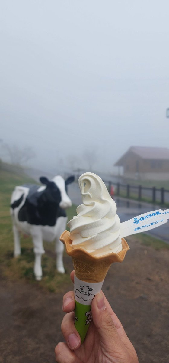 大山きれいー