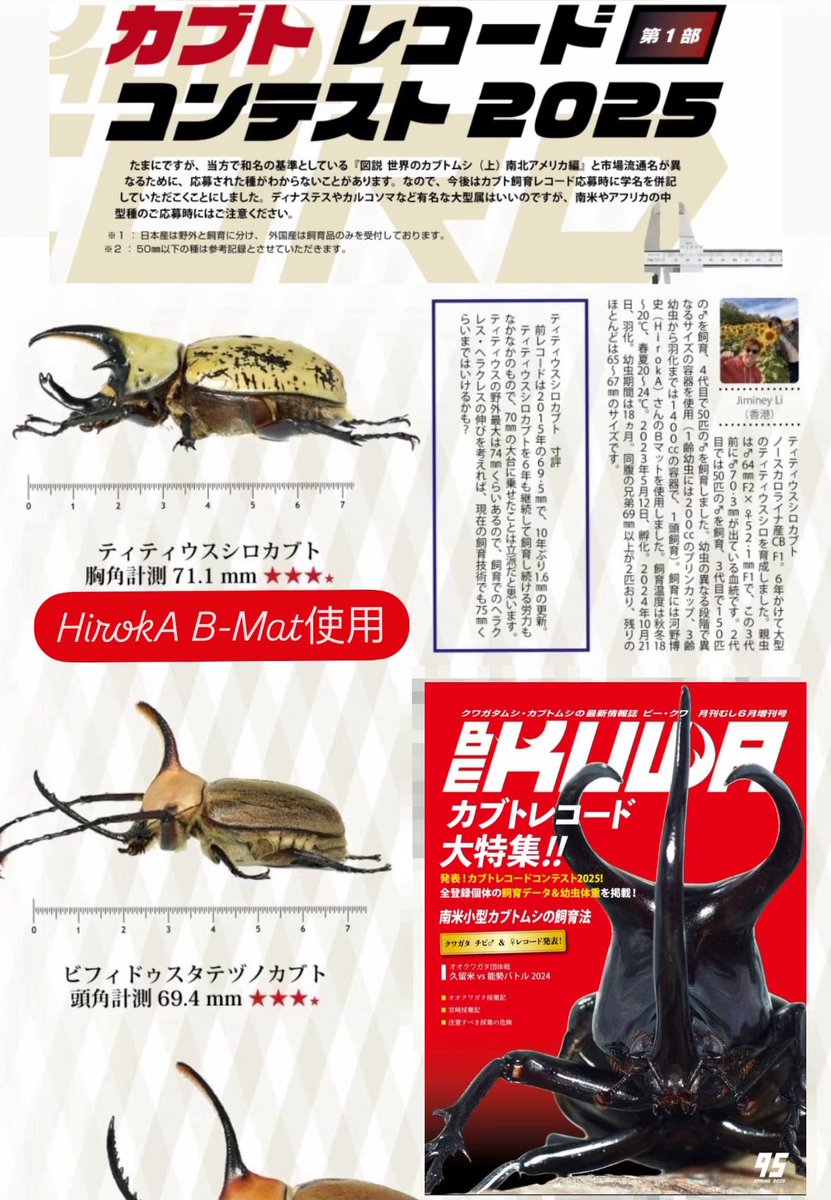 Jiminey ジミニー 香港蟲森萬象 (@JimineyLi) / Posts / X