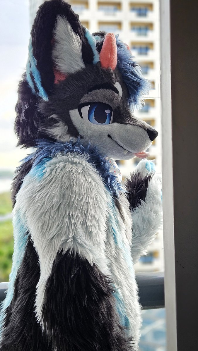 Zev | 泽临 (@zevrim_fen) on Twitter photo After waiting for a few months, finally got to unbox with my fursuit brothers! Thank you everyone who attended!
等了几个月,终于跟毛毛兄弟第一次出毛了!感谢大家!
🟢🐺: <a href="/LimeDonut/">Kavalala | 卡瓦拉</a>
🔵🐺: <a href="/Rulianwolf/">Rulian | Ruru</a>
🪡: <a href="/furmony/">鸿萌造物/Furmony</a>
📸: <a href="/_Xonorth/">Xonorth</a>, <a href="/TheRealCharizac/">Zarachy / ザラキー</a>, <a href="/Kombu_dragon/">Kombu 🔜 FURUM 2025</a> After waiting for a few months, finally got to unbox with my fursuit brothers! Thank you everyone who attended!
等了几个月,终于跟毛毛兄弟第一次出毛了!感谢大家!
🟢🐺: <a href="/LimeDonut/">Kavalala | 卡瓦拉</a>
🔵🐺: <a href="/Rulianwolf/">Rulian | Ruru</a>
🪡: <a href="/furmony/">鸿萌造物/Furmony</a>
📸: <a href="/_Xonorth/">Xonorth</a>, <a href="/TheRealCharizac/">Zarachy / ザラキー</a>, <a href="/Kombu_dragon/">Kombu 🔜 FURUM 2025</a>