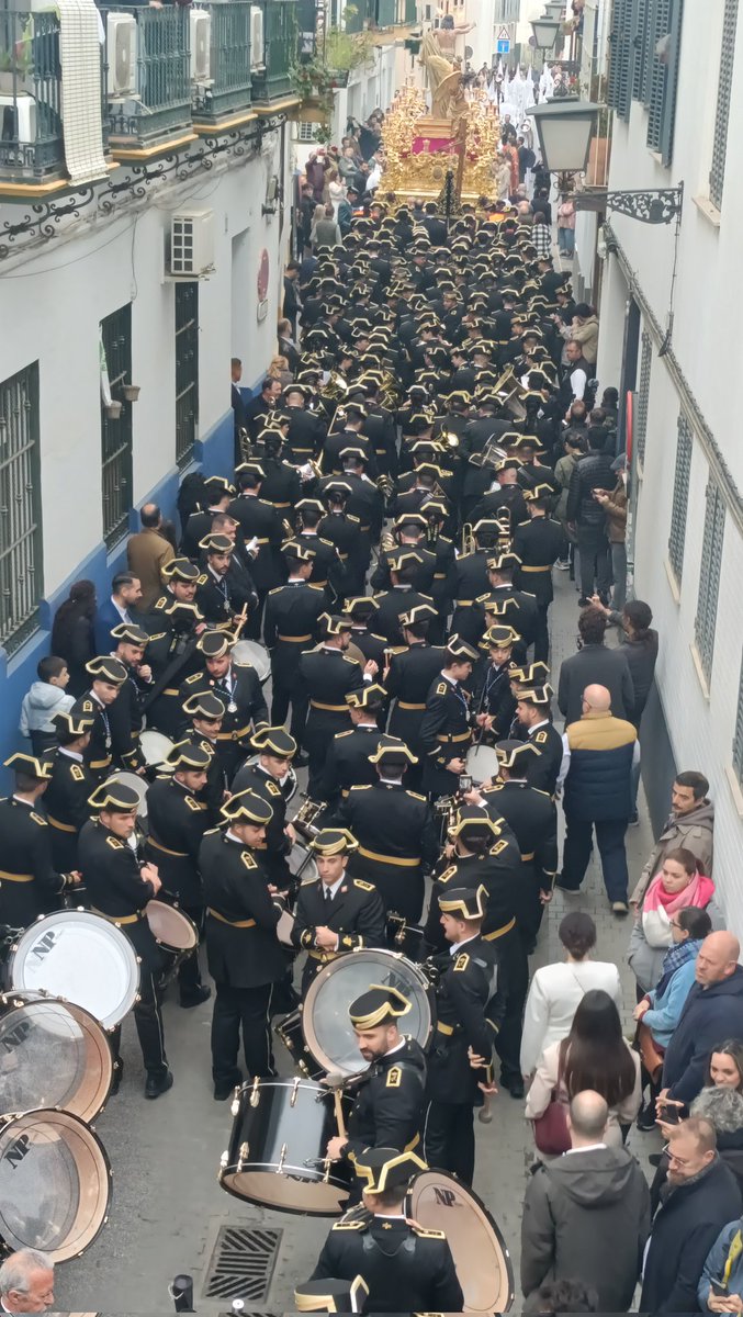 ManoloRosadoC's tweet photo. RESUCITÓ 

@ResurreccionSev @AgrupacionVR @mariodaza85 https://t.co/cE4ssJymDi
