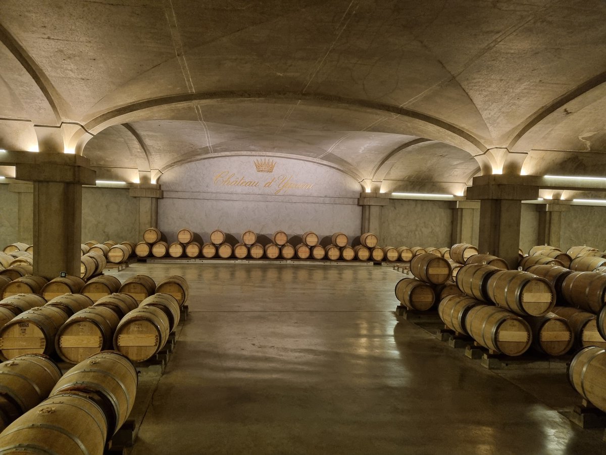 Epicurean Bordeaux Travel (@rgkc) on Twitter photo How about tasting Sauternes as a meditation?
🍷 Tai-chi in the vineyards → awakening the body
☁️ Sophro → awakening the breath
🌱 Wine → awakening taste
Upcoming dates in DM. #EpicureanBordeaux #WineNotPause #Qigong #sophrology <a href="/Yquem_Official/">Château d'Yquem</a> How about tasting Sauternes as a meditation?
🍷 Tai-chi in the vineyards → awakening the body
☁️ Sophro → awakening the breath
🌱 Wine → awakening taste
Upcoming dates in DM. #EpicureanBordeaux #WineNotPause #Qigong #sophrology <a href="/Yquem_Official/">Château d'Yquem</a>