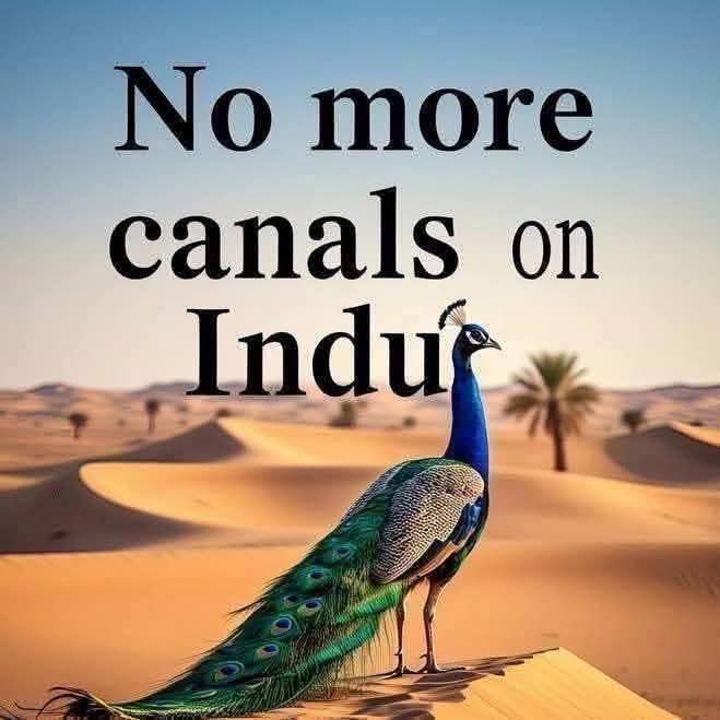 Toseefmunawar's tweet image. #NoMoreCannalsOnIndus 
#SaveIndusRiver 
#Saveindusdelta
