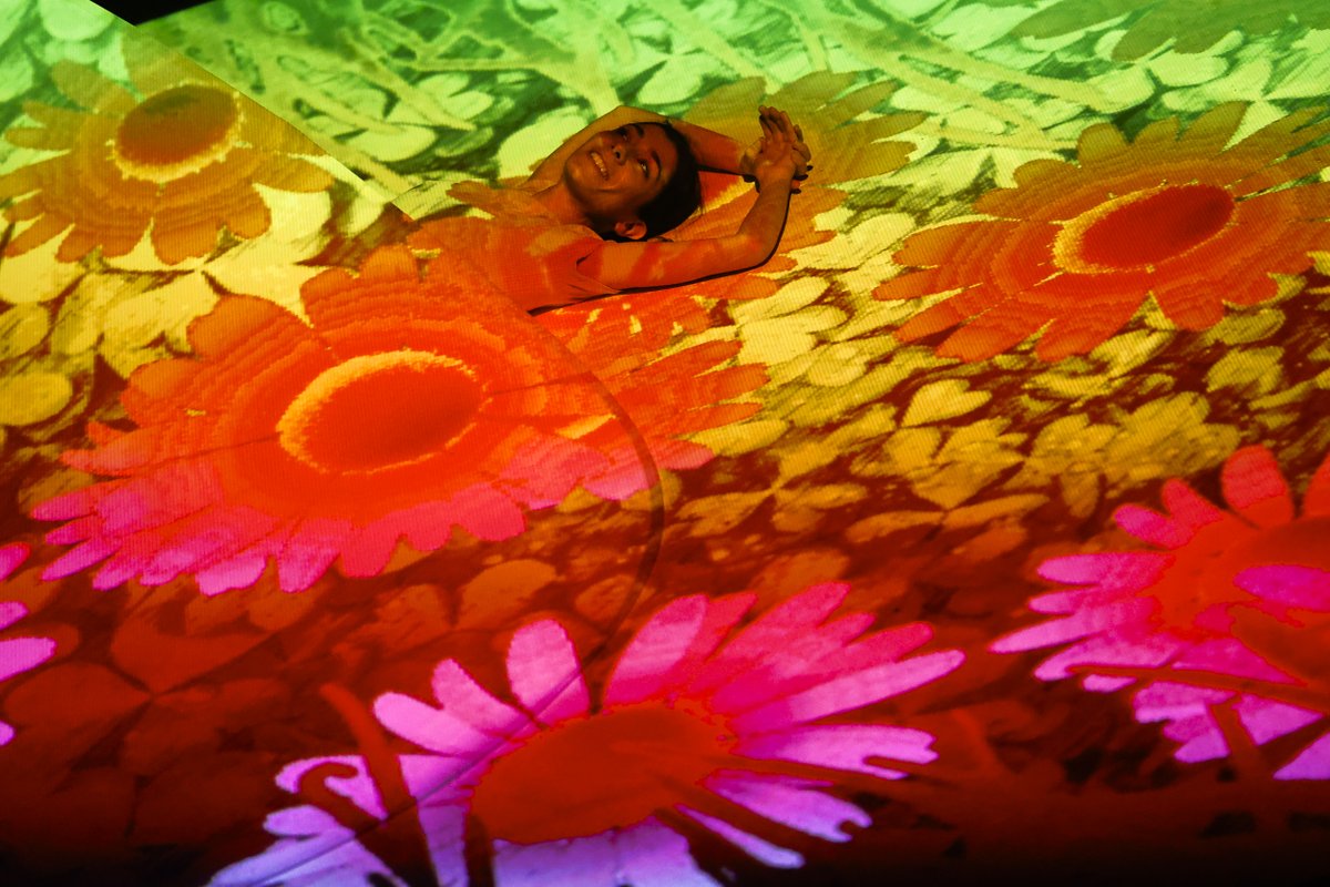 TPO 🍀Tana (Madriguera) 🌸 <a href="/TeatreEscalante/">Escalante</a> en #DansaValència 

🌱 Dos personatges busquen un cau per a resguardar-se de la nit, del fred, de la pluja, del sol.

❁ Nau Ribes ❁ #Internacional #PúblicFamiliar

#DansaValència25 🖤 #SomniInsinuat 🖤 #SpanishDancePlatform