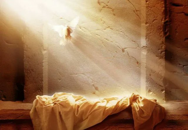 Олександр Турчинов tweet media