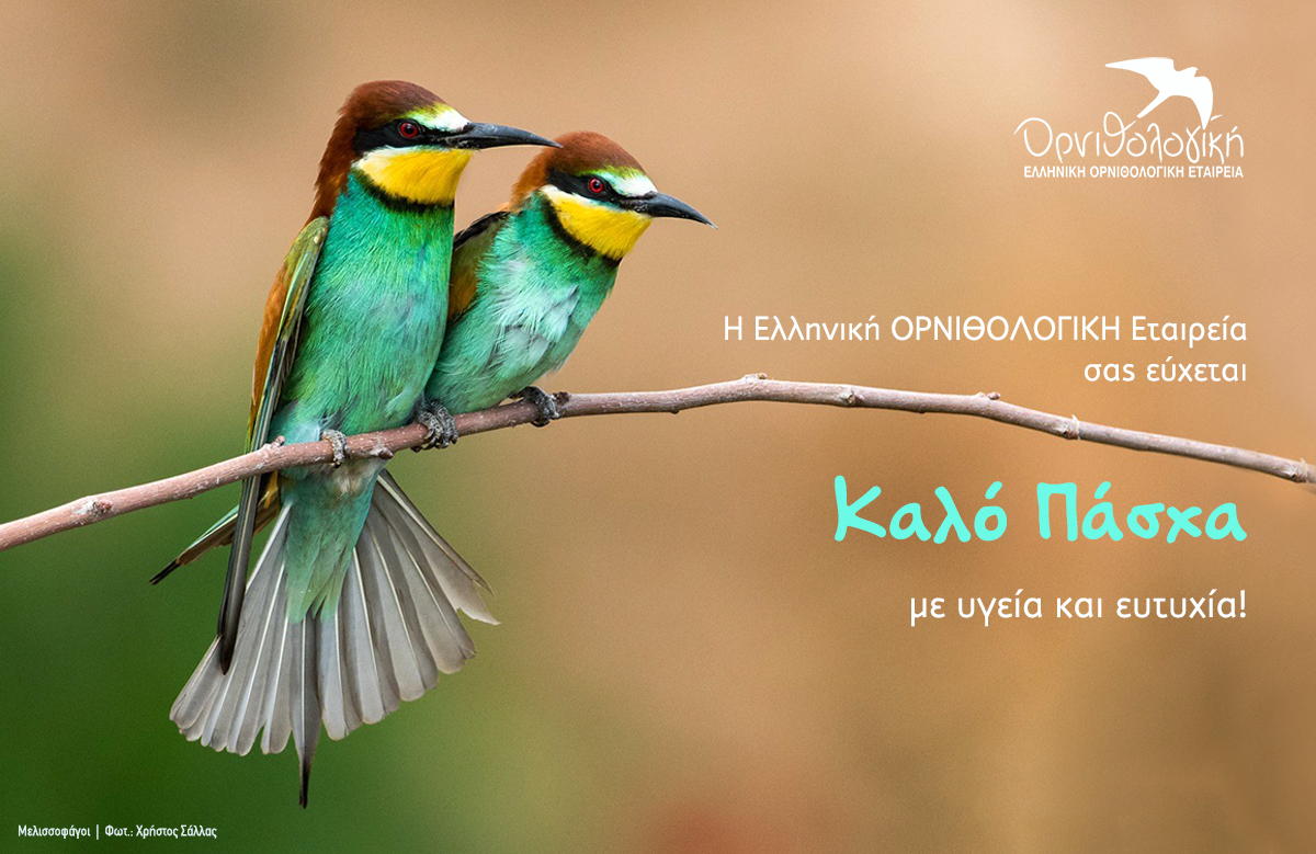 ornithologiki's tweet photo. Καλό Πάσχα με τις καλύτερες ευχές μας!
Να ��αρείτε την πασχαλινή φύση που είναι στα καλύτερά της, γεμάτη 🐦κελαηδήματα, 🐞χρώματα ��αι 🌼αρώματα!
#HappyEaster https://t.co/FeQVHbHAK3