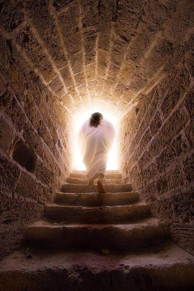 Jesus is risen!
Jesus lives!