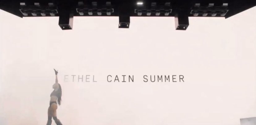 ethel cain's fly tweet media