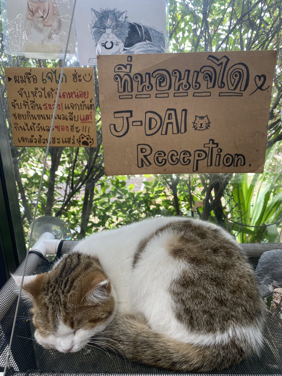 bbinbub's tweet image. กาแฟ แมว ส้ม 🍊