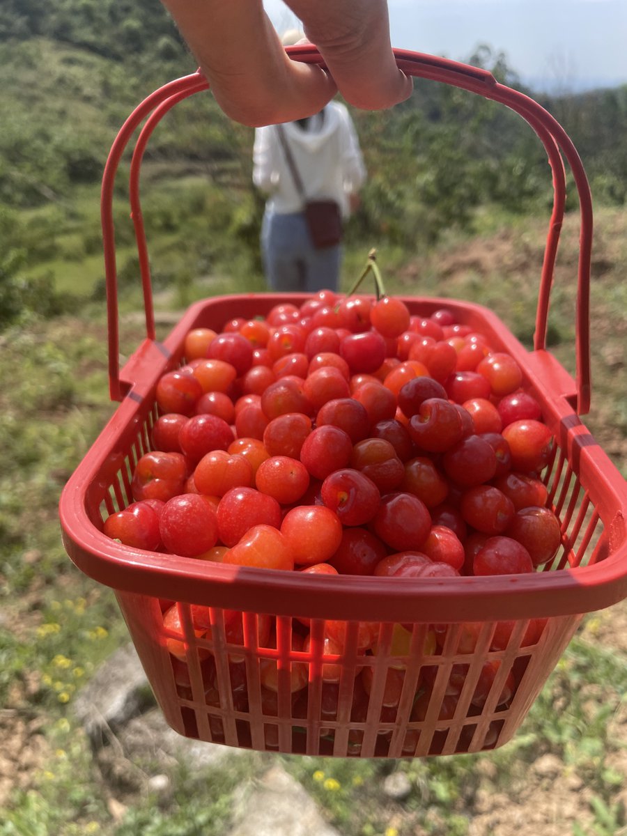 这还没她的奶头甜