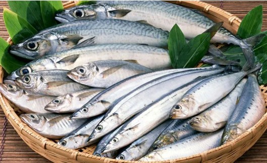 En çok taze balık ihracatı yapan ülkeleri:  

🇳🇴 Norveç           7,73 milyar dolar 
🇸🇪  İsveç               2,78 milyar dolar
🇩🇰 Danimarka    1,34 milyar dolar
🇹🇷 Türkiye            759 milyon dolar / 7nci sırada

Taze balık sektöründe toplam dünya ticareti 23,4 milyar dolar,