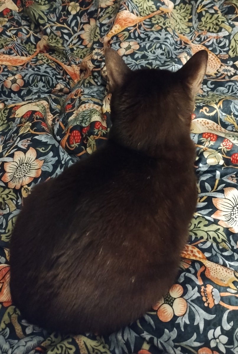 CocoaChanel64's tweet photo. Chanel: How I'm spending Easter Sunday. https://t.co/95xFqQhX1J