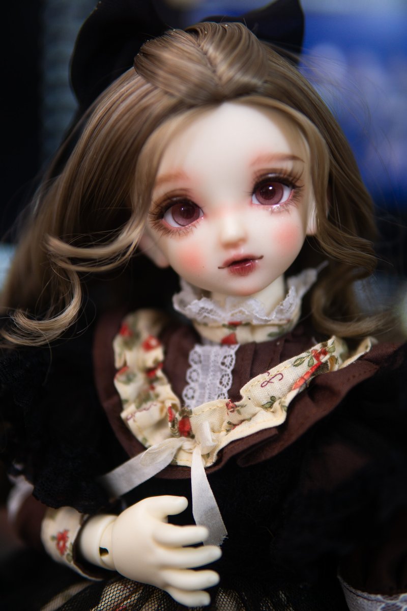 겨울비 도화
드디어 손에 넣다