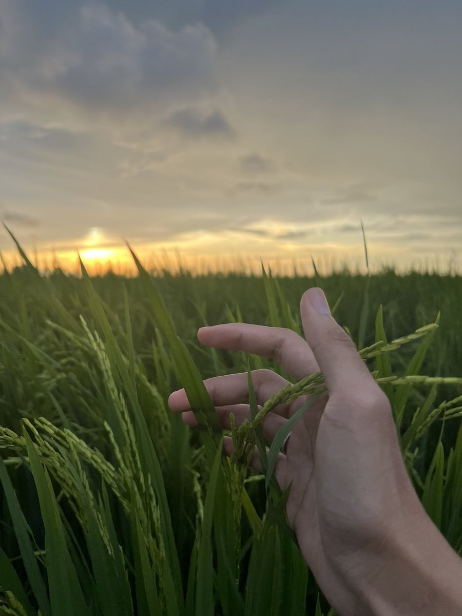 Haziq ❤️‍🔥 tweet media