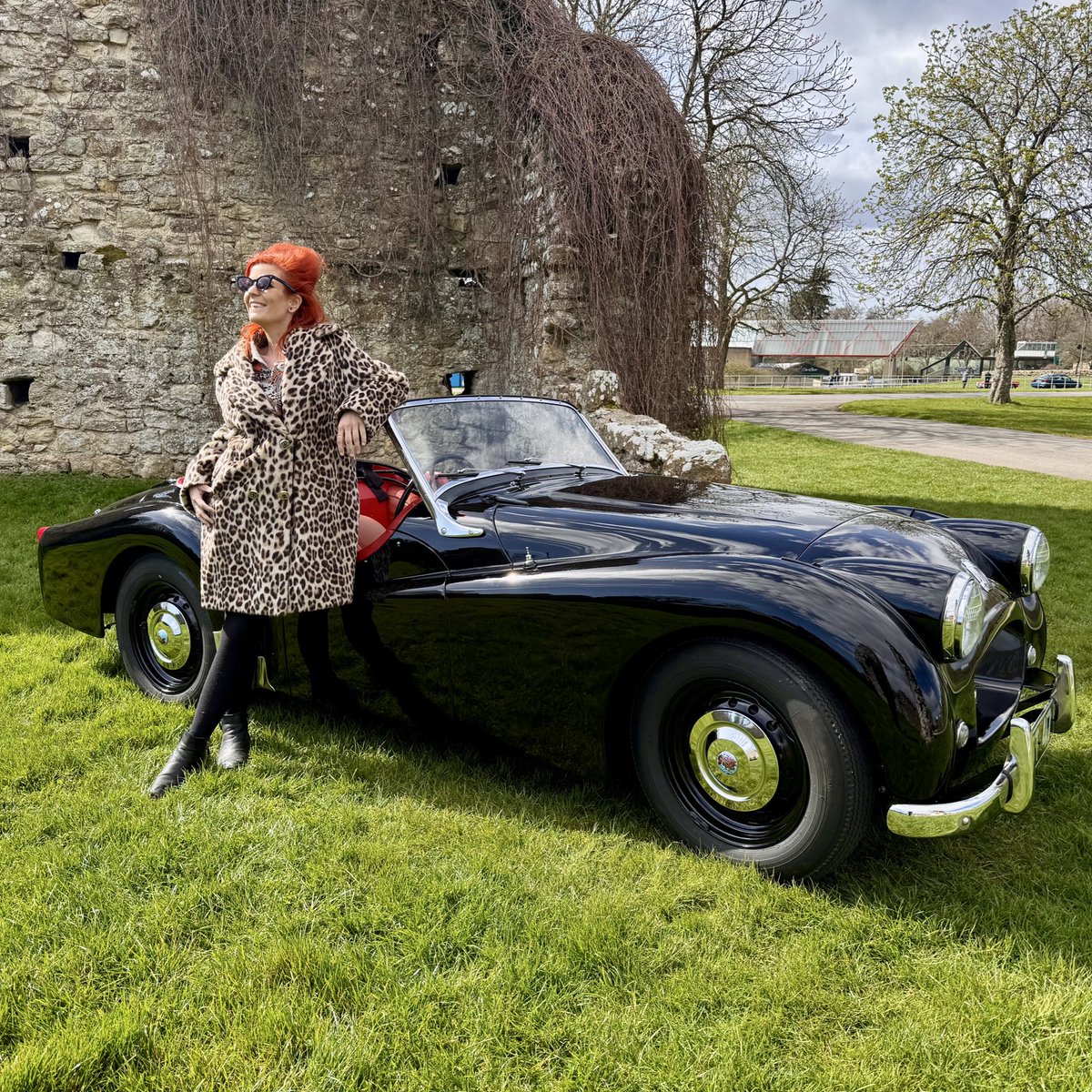 idriveaclassic's tweet image. 1950s Triumph TR2 - Triumph’s most beautiful sports car?
This is another beautiful car I borrowed from Beaulieu, National Motor Museum
Let me know if you love it, loathe it or have owned one!
youtu.be/egTBlcpxGWg