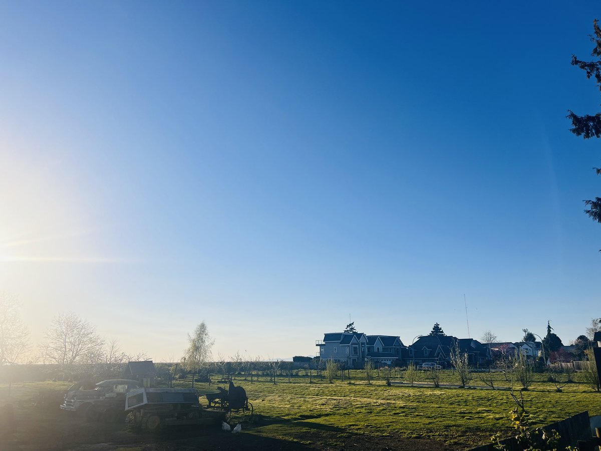 SSS Steven tweet media