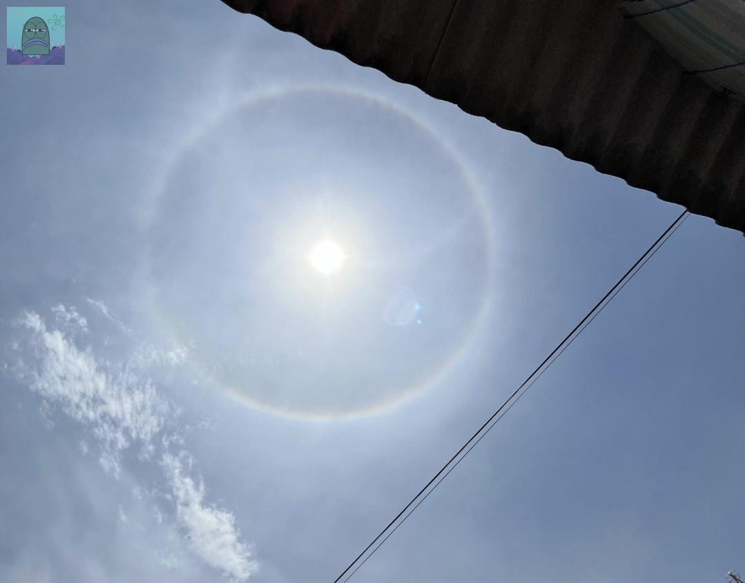 tanyakanrl's tweet image. 💚 fenomena halo matahari 20 april 2025, kalian udah foto belum nih?