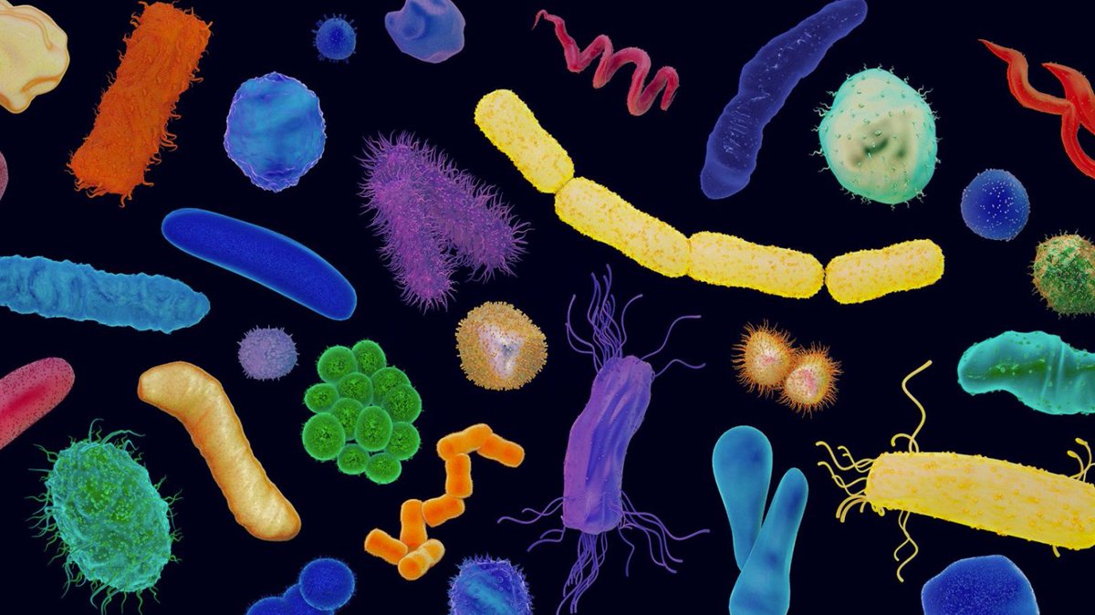 Gut bacteria may be the missing link in your health

New research shows that it's not just which bacteria live in your gut — but how many — that matters for your health. This discovery sheds light on the complex balance between bacterial diversity and bacterial load, and how both