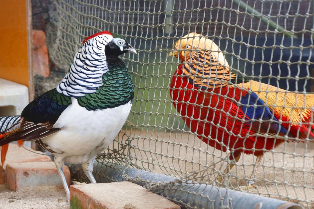 確認(*^^*ゞ♡画像2枚 2Pカラー