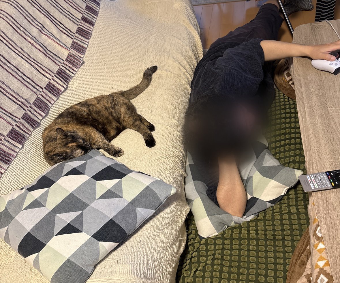 tennatamito's tweet photo. #猫のいる暮らし𓏲𓎨

父ちゃんと同じ格好 https://t.co/kFDk8JqFvr