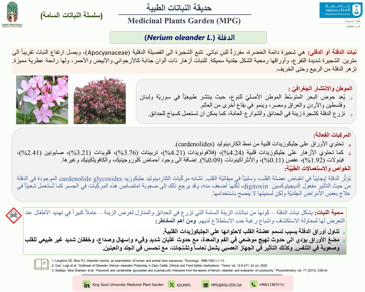 ksumpg's tweet photo. #جامعة_الملك_سعود 
#كلية_الصيدلة 
#قسم_العقاقير
#الدفلة https://t.co/Z70ASZXVM2