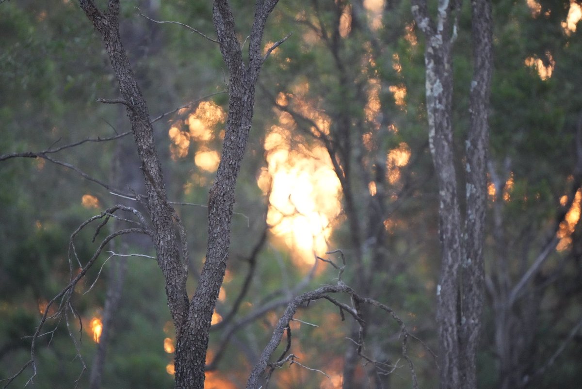 EmconBlack's tweet photo. Hello #SunSet #Queensland #GemFields https://t.co/uesk4c0Gf7