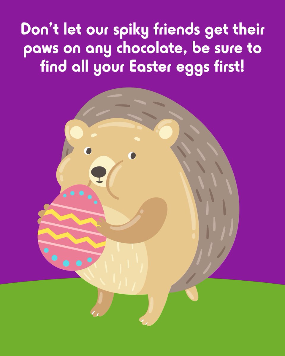 Happy Easter!🐰🌸 Be sure to find all your Easter eggs before our spiky friends do! Chocolate is toxic to hedgehogs and can be fatal, so consider doing your Easter egg hunts indoors or keep track of where you hide them to keep everyone safe🦔