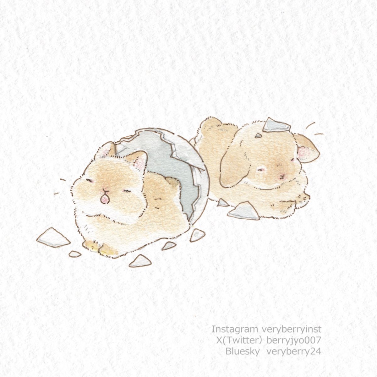 🥚🎀🐰Happy Easter🐰🎀🥚

たまごから

ぱやぱやうさぎさん