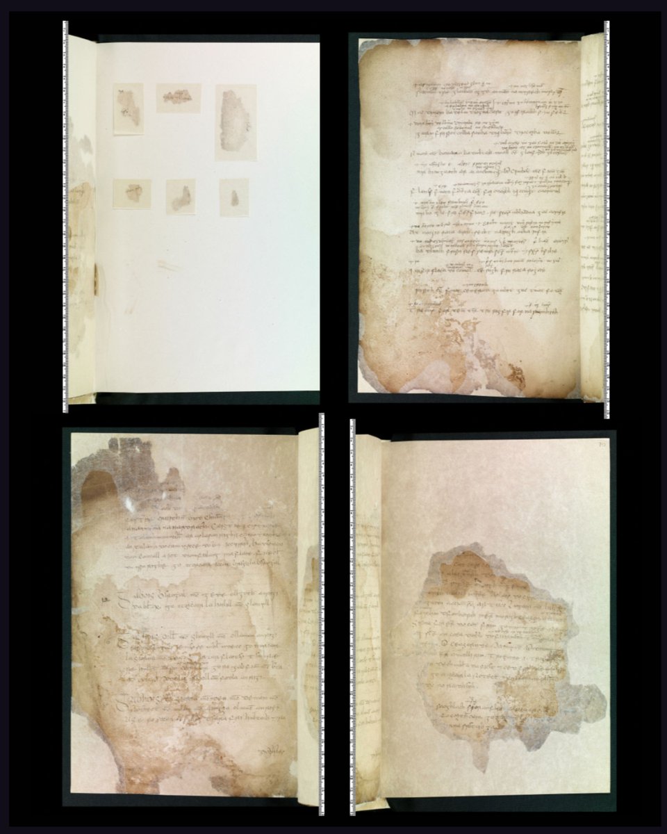 Royal Irish Academy (@riadawson) on Twitter photo The Manuscript of the Week is RIA MS 23 M 70, a 17th C recension of Leabhar Gabhála/Book of Invasions in the hand of Mícheál Ó Cléirigh. The leaves were expertly collated & conserved in the early 90s.
Read more and find a link to the <a href="/DIAS_ISOS/">Irish Script On Screen (www.isos.dias.ie)</a> digital copy at The Manuscript of the Week is RIA MS 23 M 70, a 17th C recension of Leabhar Gabhála/Book of Invasions in the hand of Mícheál Ó Cléirigh. The leaves were expertly collated & conserved in the early 90s.
Read more and find a link to the <a href="/DIAS_ISOS/">Irish Script On Screen (www.isos.dias.ie)</a> digital copy at