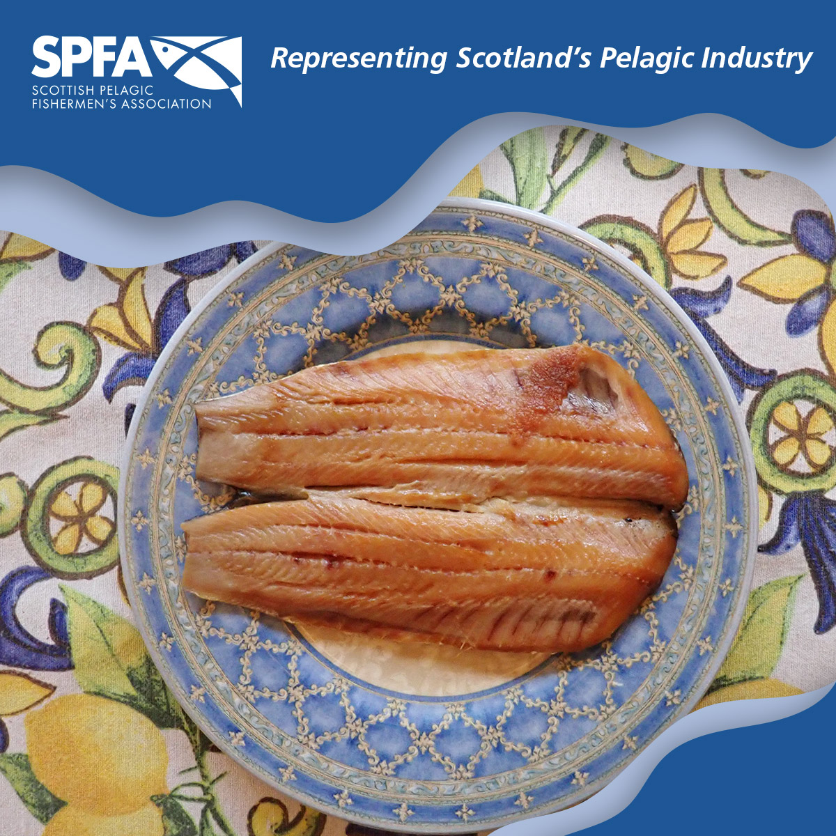 For a tasty Easter breakfast, it is hard to beat Scottish kippers - simple to prepare and full of great flavour

scottishpelagic.co.uk

#Easter #kippers
