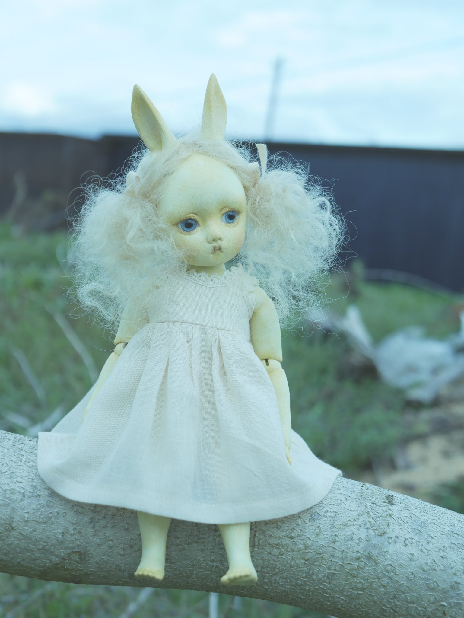 空木架子 on X: 
