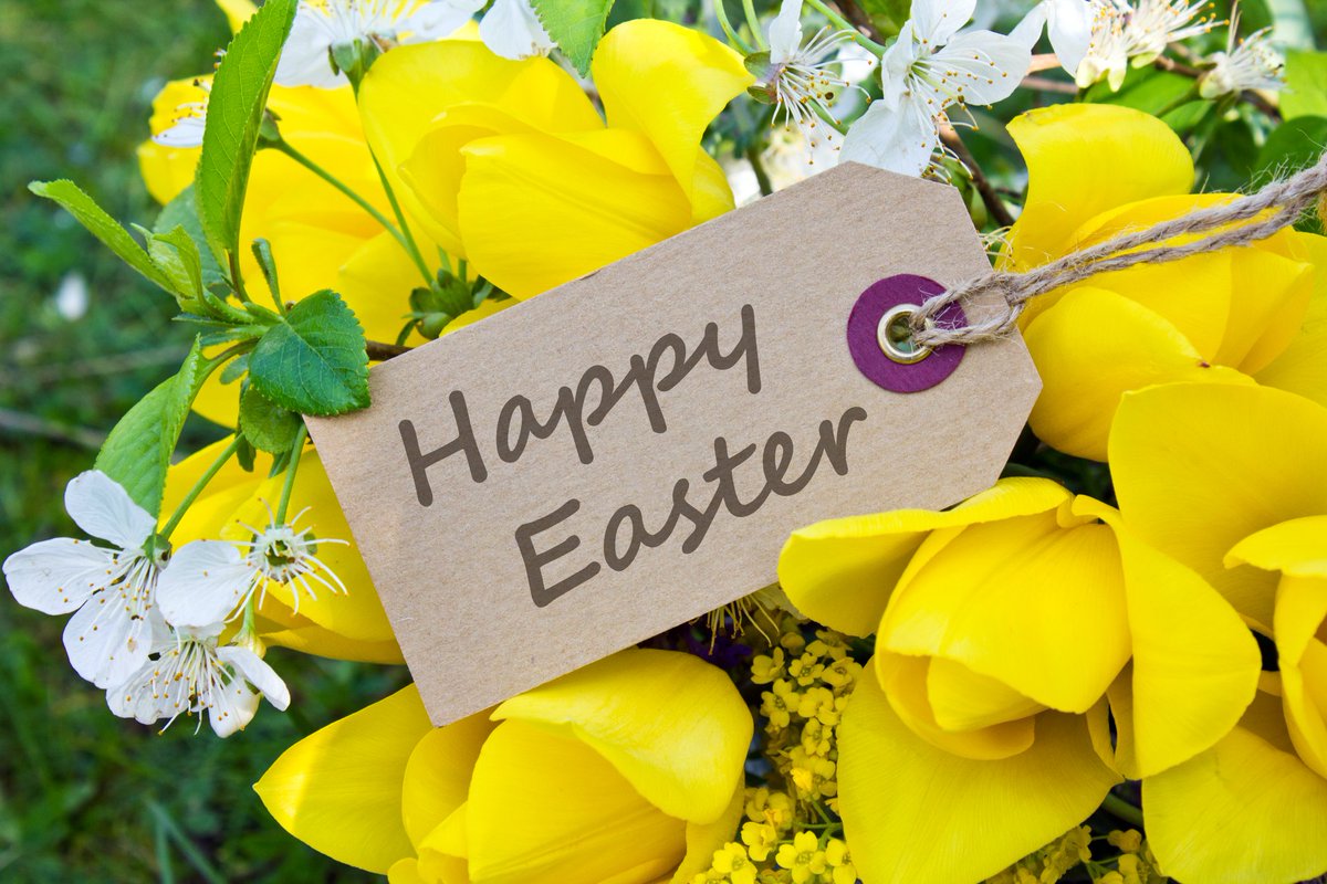 _VillageVoices's tweet photo. Happy Easter from Village Voices Publishing #hoopeninsula #strood #rochester #cuxton #cobham #shorne #halling #wainscott #frindsbury #higham #kent https://t.co/BXTp39aiA7