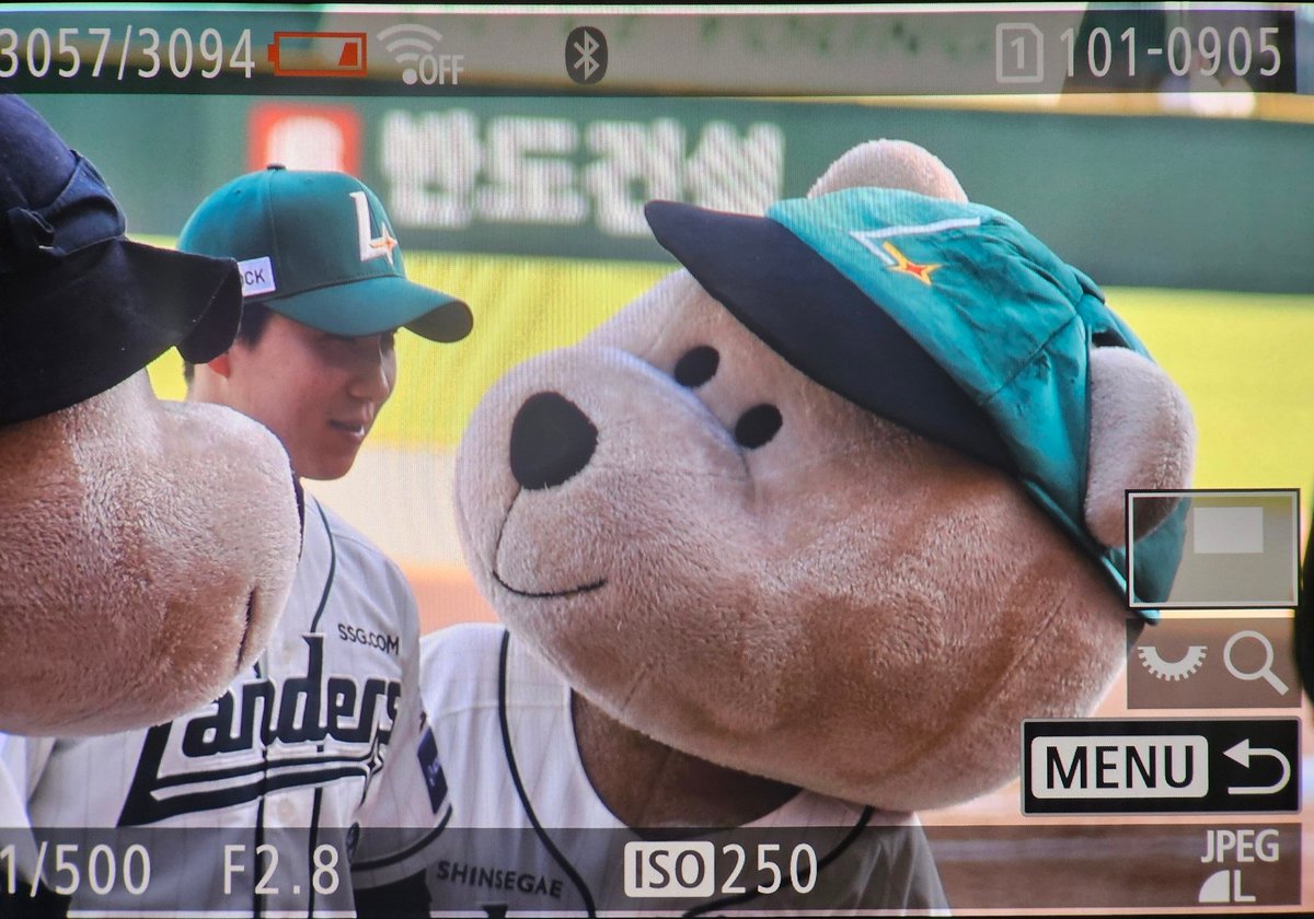 kbo_whitefox's tweet photo. (빤히 https://t.co/bJhH4fb3X1
