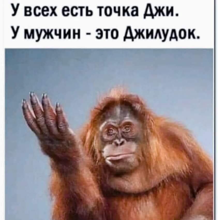 Олег Исаев (@zybolom7) on Twitter photo 