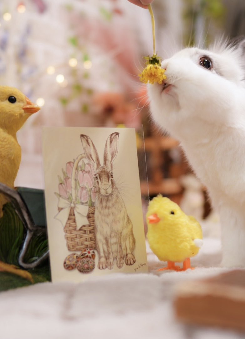 lapuchobimama's tweet image. 今日は復活祭🐣

素敵なポストカードは@GNepero さん🌷

#イースター