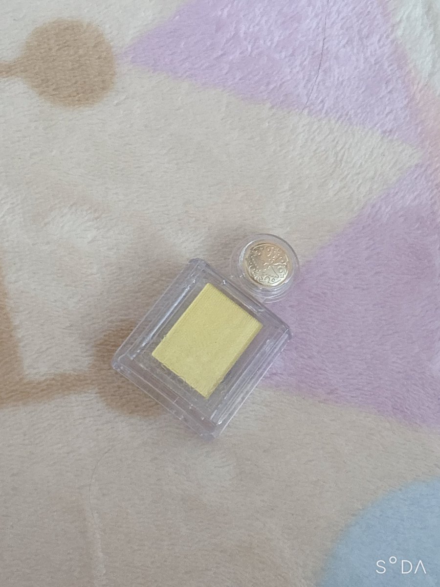 夏に向けてアイシャドウ買い足した☀️🍉🌻🏊
