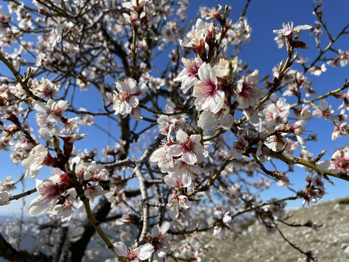 Vita che rinasce nonostante tutto. Speranza che fa vivere. Fede in un risorto che accompagna. Buona Pasqua di Risurrezione.