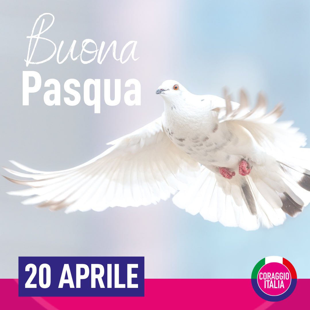 🕊 Auguri a tutti gli italiani, per una #Pasqua di PACE