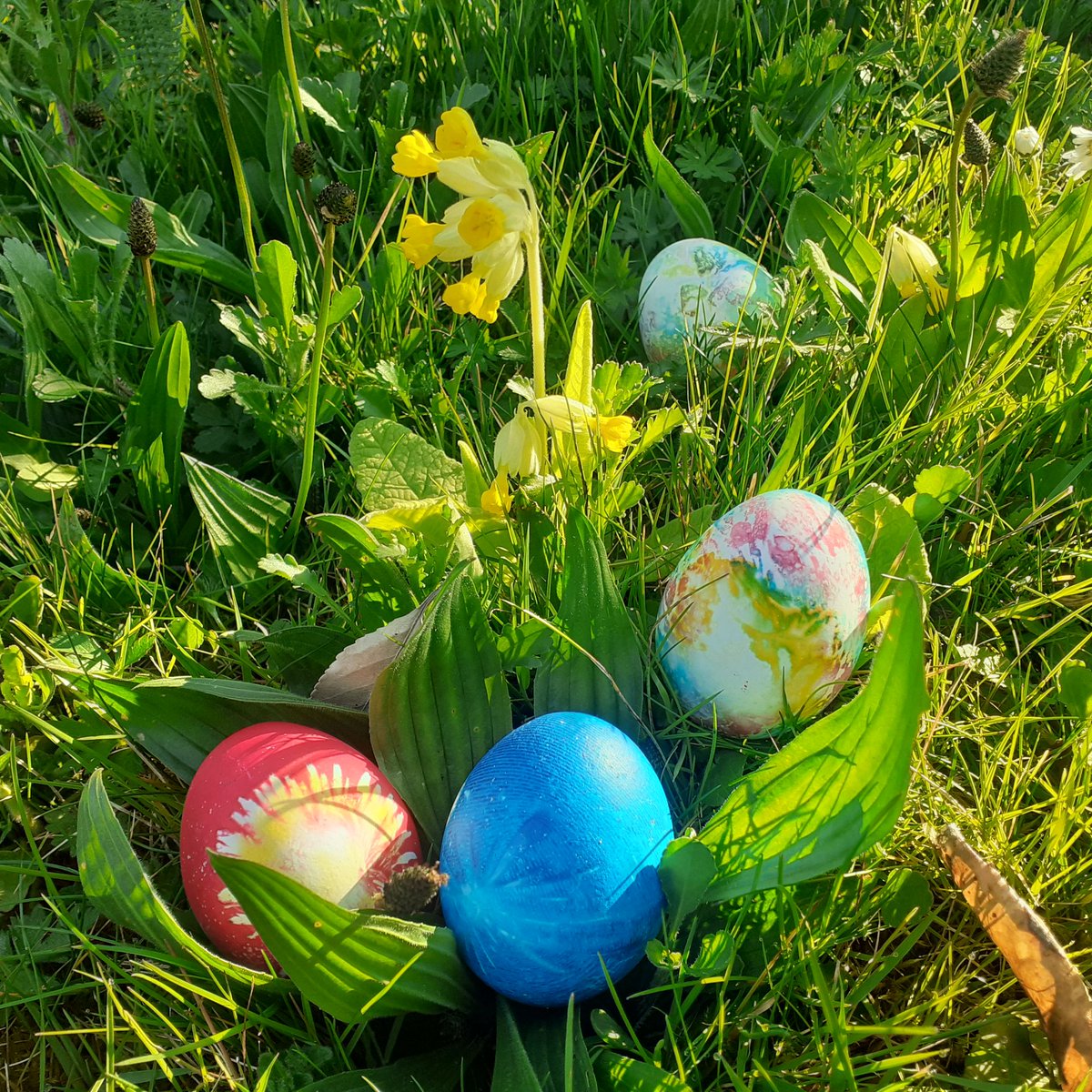 Happy Easter....#EasterEggHunt