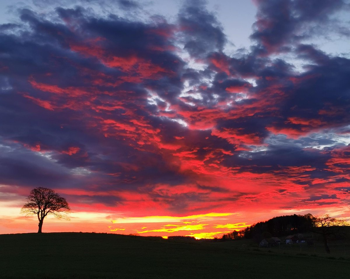 meteoschweiz's tweet image. #Föhn, #Regenbogen und #Morgenrot - all das konnte der Schoggihase unseres Frühdienstmeteorologen beobachten (die Frage ist, wie lange noch? 😉). Die diensthabende Crew wünscht Ihnen schöne #Ostern 🐰
Fotos: Chénens, Küsnacht, Schlans (Quelle: Meteomeldungen / App)