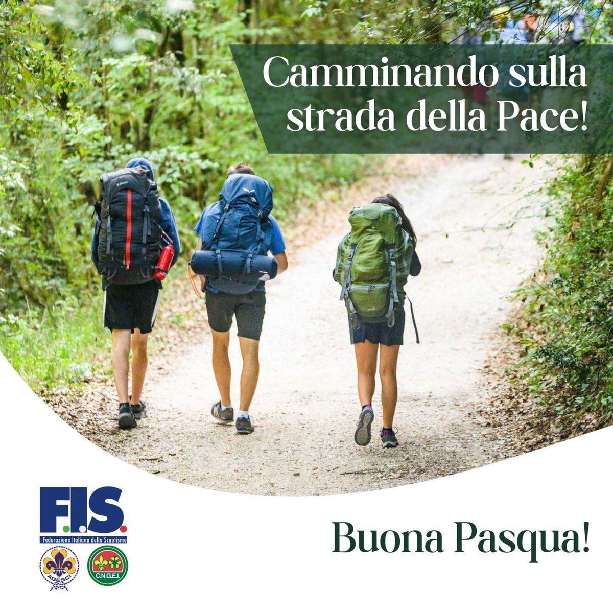 Buona Pasqua di gioia e di speranza, camminando sulla strada della Pace!