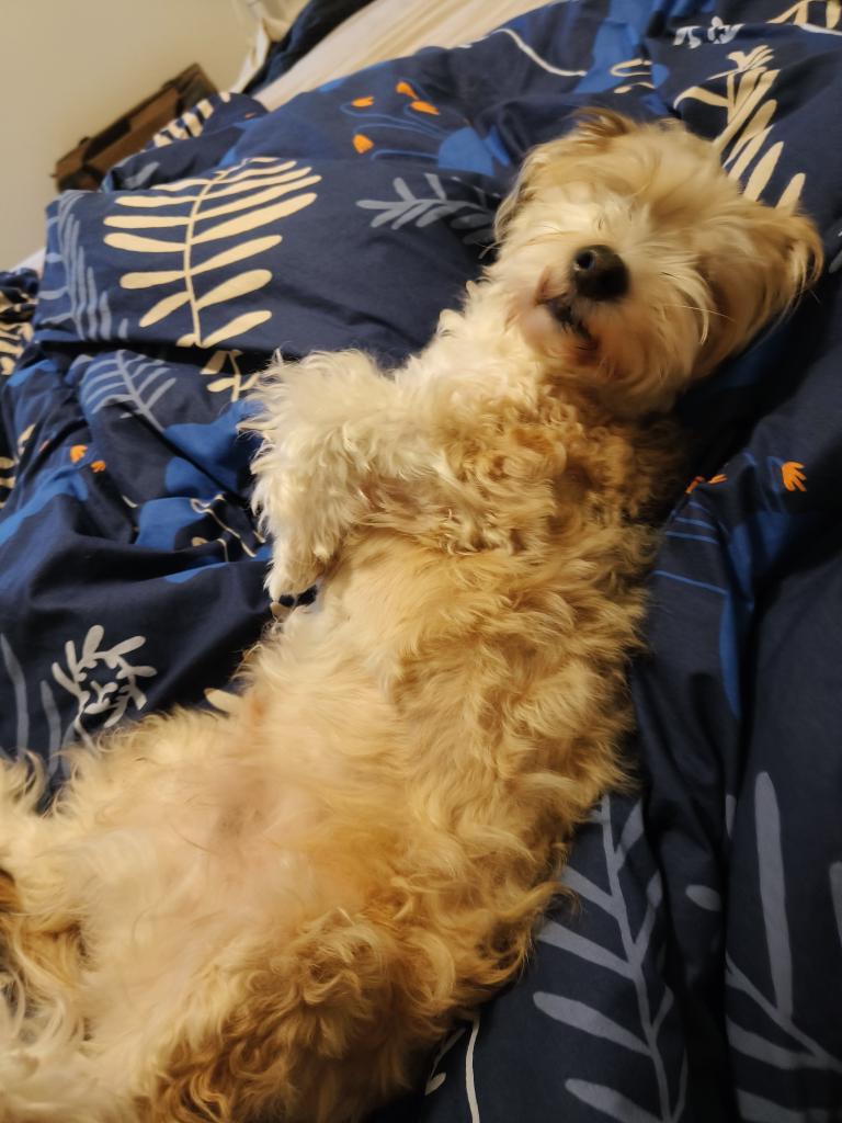 Olisko jo aika herätä:)