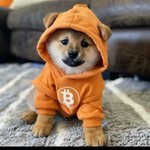 Photo by DANY #freedogofbitcoin🫶🏻🚀 (@Danytoken)